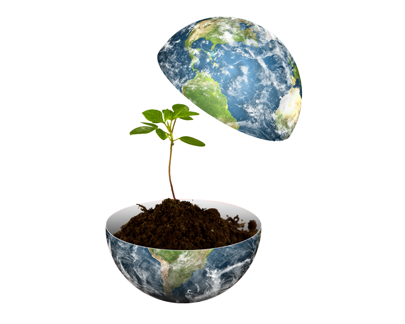 Corporate Carbon Footprint - mehr als nur eine Rechengröße