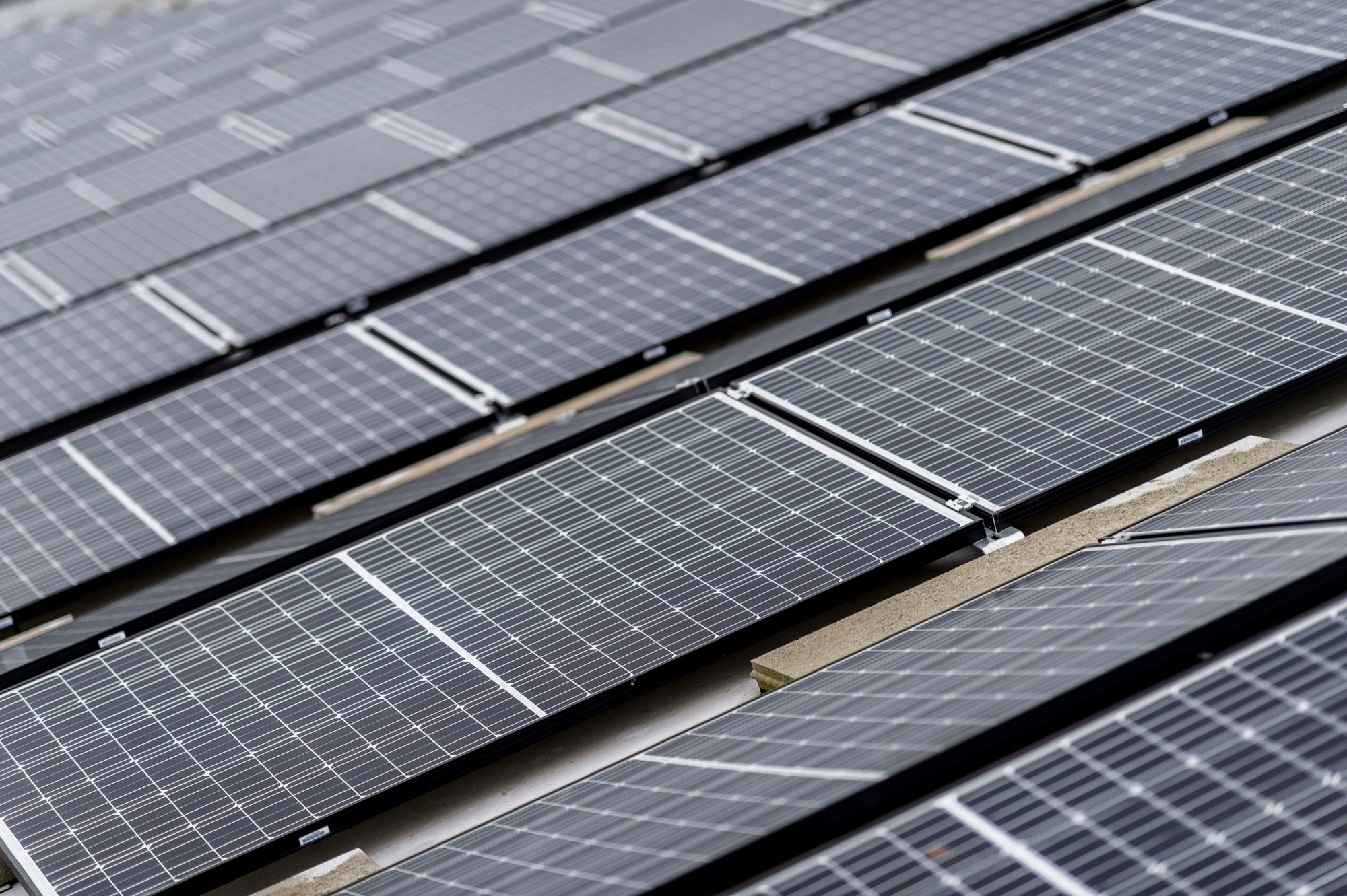 neoom Photovoltaik-Module für Unternehmen