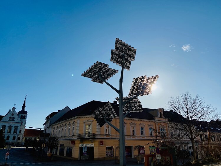 Bild der EG